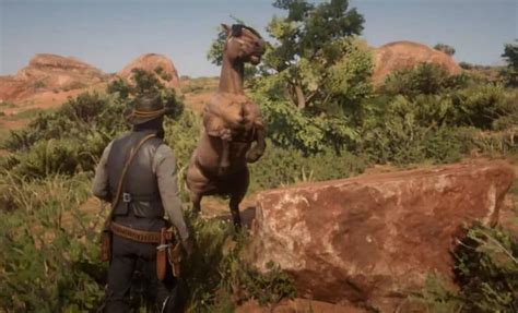 Red Dead Redemption 2 Wild Horse Breeds Locations Guide.